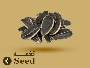 sunflower-seed
